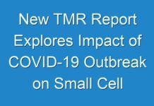 New TMR Report Explores Impact of COVID-19 Outbreak on Small Cell Equipment Market