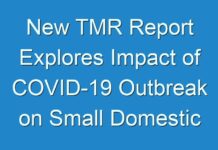 New TMR Report Explores Impact of COVID-19 Outbreak on Small Domestic Appliances Market Sales