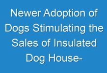 Newer Adoption of Dogs Stimulating the Sales of Insulated Dog House- Report till 2031