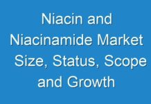 Niacin and Niacinamide Market Size, Status, Scope and Growth Prospects 2019-2027
