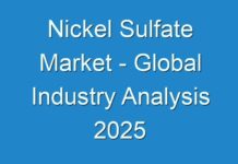 Nickel Sulfate Market – Global Industry Analysis 2025