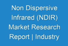 Non Dispersive Infrared (NDIR) Market Research Report | Industry Growth Rate, Size, Share, Regional Analysis, Global Forecast to 2027- TMR