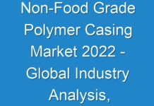 Non-Food Grade Polymer Casing Market 2024 – Global Industry Analysis, Size, Share, Growth, Trends, and Forecast, 2019 – 2027