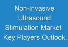 Non-Invasive Ultrasound Stimulation Market Key Players Outlook, Latest Trends and Forecast up to 2028