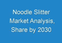 Noodle Slitter Market Analysis, Share by 2030