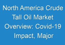 North America Crude Tall Oil Market Overview: Covid-19 Impact, Major Marketing Channels, Business Strategies And Future Forecast