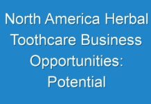 North America Herbal Toothcare Business Opportunities: Potential Effect On Upcoming Future Growth, Competitive Analysis And Forecast 2020–2030