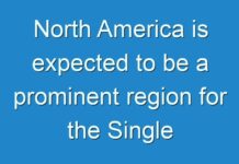 North America is expected to be a prominent region for the Single Feed Market during the forecast period 2018 to 2028