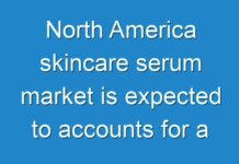 North America skincare serum market is expected to accounts for a large market share due to the rising fashion industry and change in habits