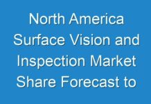 North America Surface Vision and Inspection Market Share Forecast to Witness Considerable Growth from 2013 To 2019