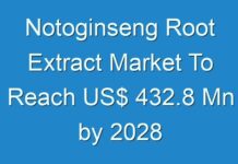 Notoginseng Root Extract Market To Reach US$ 432.8 Mn by 2028
