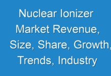 Nuclear Ionizer Market Revenue, Size, Share, Growth, Trends, Industry Forecast 2025