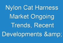 Nylon Cat Harness Market Ongoing Trends, Recent Developments & Forecast till 2031