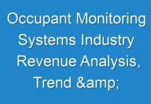 Occupant Monitoring Systems Industry Revenue Analysis, Trend & Forecast Report 2024 – 2031