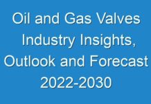 Oil and Gas Valves Industry Insights, Outlook and Forecast 2024-2030