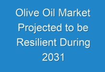 Olive Oil Market Projected to be Resilient During 2031