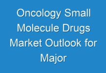 Oncology Small Molecule Drugs Market Outlook for Major Applications/end Users, Consumption, Share and Growth Rate 2027