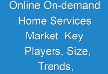 Online On-demand Home Services Market Key Players, Size, Trends, Opportunities and growth Analysis 2017 – 2025