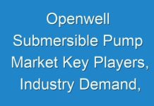 Openwell Submersible Pump Market Key Players, Industry Demand, Overview And Supply Chain Analysis, Forecast To 2030