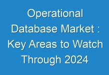 Operational Database Market : Key Areas to Watch Through 2024