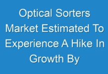 Optical Sorters Market Estimated To Experience A Hike In Growth By 2024