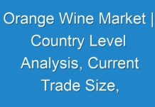 Orange Wine Market | Country Level Analysis, Current Trade Size, Future Prospective and Forecast, 2024-2030