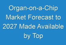 Organ-on-a-Chip Market Forecast to 2027 Made Available by Top Research Firm