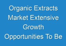 Organic Extracts Market Extensive Growth Opportunities To Be Witnessed By 2028