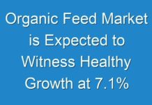 Organic Feed Market is Expected to Witness Healthy Growth at 7.1% CAGR through 2028