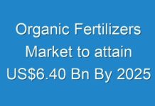 Organic Fertilizers Market to attain US$6.40 Bn By 2025