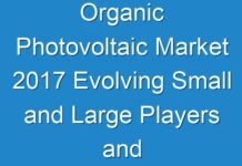 Organic Photovoltaic Market 2017 Evolving Small and Large Players and Forecast 2025