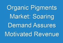 Organic Pigments Market: Soaring Demand Assures Motivated Revenue Share During 2027