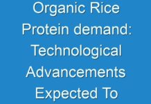 Organic Rice Protein demand: Technological Advancements Expected To Boost Revenue Growth 2017 – 2025