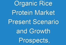 Organic Rice Protein Market Present Scenario and Growth Prospects, 2024-2027