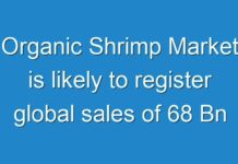 Organic Shrimp Market is likely to register global sales of 68 Bn tons by 2029