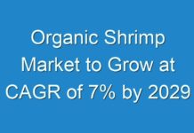 Organic Shrimp Market to Grow at CAGR of 7% by 2029