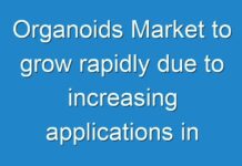 Organoids Market to grow rapidly due to increasing applications in healthcare industry