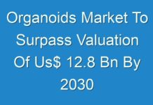 Organoids Market To Surpass Valuation Of Us$ 12.8 Bn By 2030