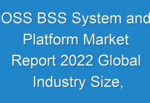 OSS BSS System and Platform Market Report 2024 Global Industry Size, Segment By Key Companies, Types, Applications And Forecast To 2030