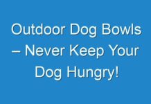 Outdoor Dog Bowls – Never Keep Your Dog Hungry!