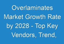 Overlaminates Market Growth Rate by 2028 – Top Key Vendors, Trend, Segmentation, Drivers, Challenges