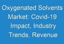 Oxygenated Solvents Market: Covid-19 Impact, Industry Trends, Revenue and Forecast 2017-2025