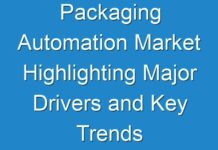 Packaging Automation Market Highlighting Major Drivers and Key Trends 2017- 2025