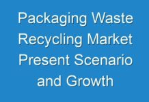Packaging Waste Recycling Market Present Scenario and Growth Prospects, 2024-2027