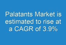 Palatants Market is estimated to rise at a CAGR of 3.9%