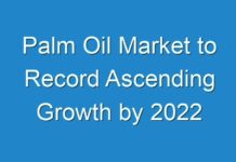 Palm Oil Market to Record Ascending Growth by 2024