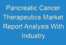 Pancreatic Cancer Therapeutics Market Report Analysis With Industry Share
