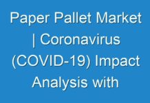 Paper Pallet Market | Coronavirus (COVID-19) Impact Analysis with Business Opportunities, Survey And Growth Forecast 2024 -2030