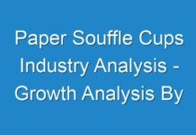Paper Souffle Cups Industry Analysis – Growth Analysis By Manufacturers, Regions, Type And Application