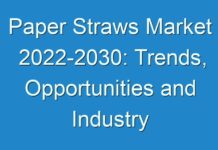 Paper Straws Market 2024-2030: Trends, Opportunities and Industry Projections